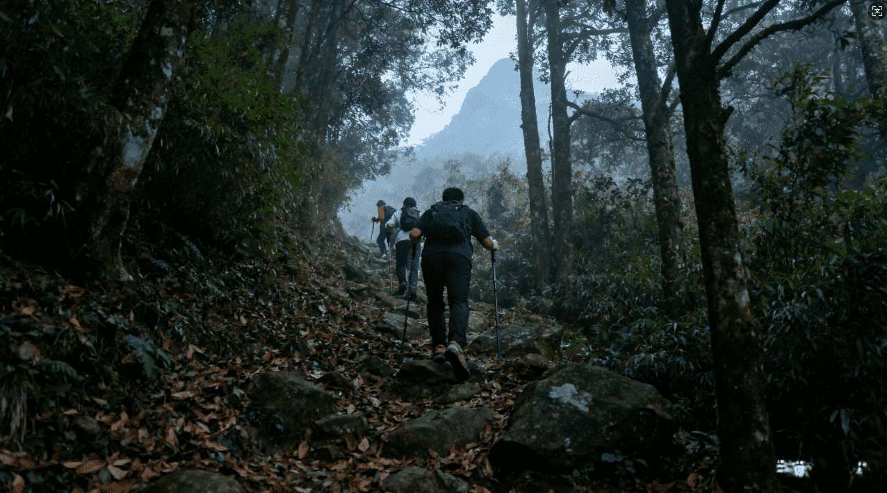 如何选择适合自己的安卓VPN加速器